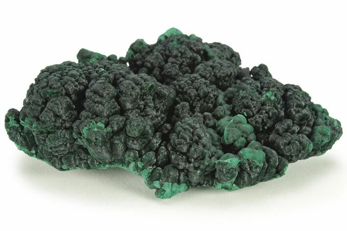 Chatoyant Botryoidal Malachite Formation - Shilu Mine, China #223461